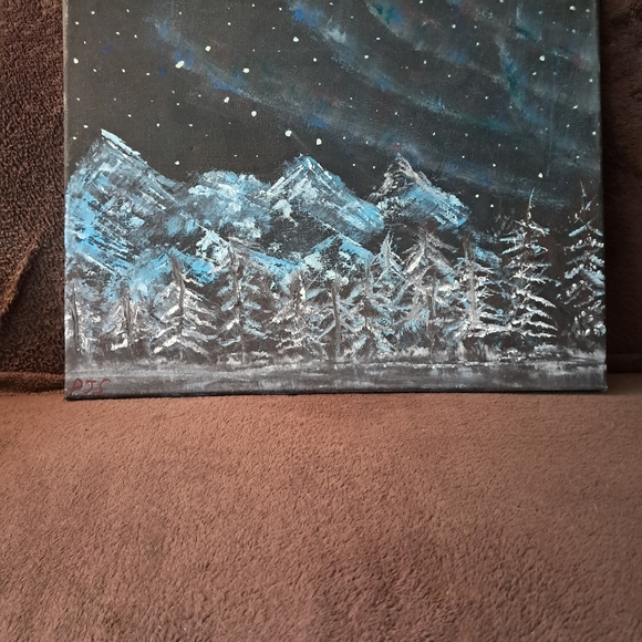 Stary Sky Northen Lights Mountains Dark And Cold Bob Ross Insired Hand Painted - Picture 3 of 4